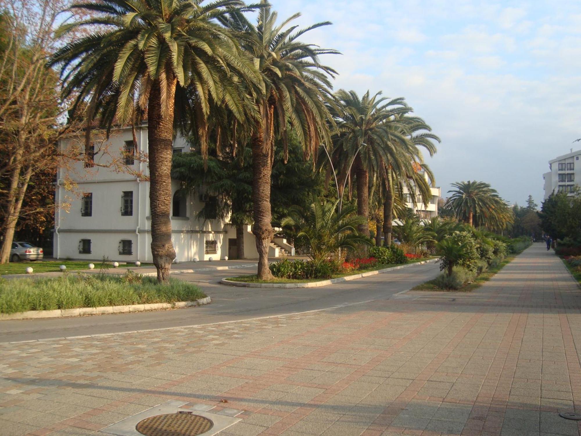 Apartments Kojic Bar Εξωτερικό φωτογραφία